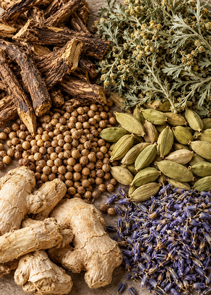 Getrocknete Kräuter und Gewürze dicht nebeneinander von oben, darunter Kardamom, Koriander, Ingwer und Lavendel.